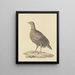 Perdrix Painting - Pieter Pietersz. Barbiers — framed artwork on a wall