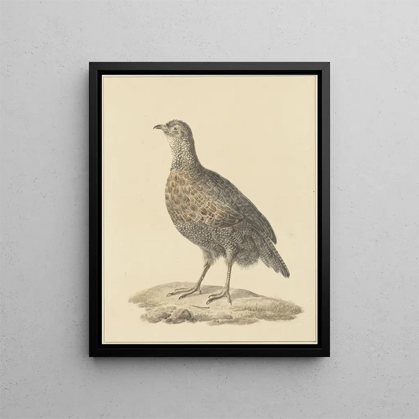 Perdrix Painting - Pieter Pietersz. Barbiers — framed artwork on a wall