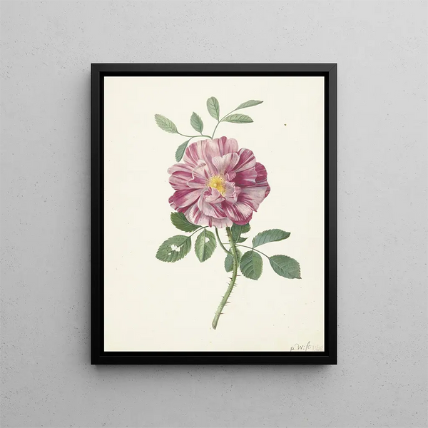 Roos - Pieter Withoos — framed artwork on a wall