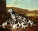 Dalmatian dog with puppies - Pieter van der Hulst — artwork view