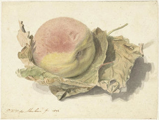 Fishing on Two Leaves - Pieter van der Meulen — artwork view