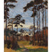 Reproduction of the painting Pins sur l'Ettersberg - Christian Rohlfs