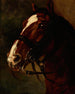 Head of a Horse from the Bay - Piotr Michałowski — artwork view