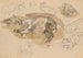 Études et esquisses de cheval au galop - Piotr Michałowski — artwork view