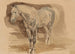Study of a Spotted Horse - Piotr Michałowski — artwork view