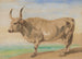 Study of the Hungarian Breed Ox - Piotr Michałowski — artwork view