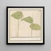 Plant painting of unknown species - Anselmus Botius de Boodt — framed artwork on a wall