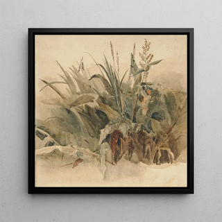 Plantes aquatiques - Peter De Wint