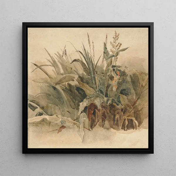 Aquatic Plants - Peter De Wint — framed artwork on a wall