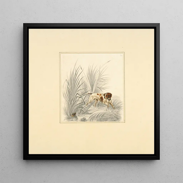 Pointer regardant un oiseau de gibier - Henry Thomas Alken — wall display of the artwork