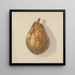 Pear - Gerardina Jacoba van de Sande Bakhuyzen — framed artwork on a wall