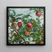 Apples - Ambroy Sabatowski — framed artwork on a wall