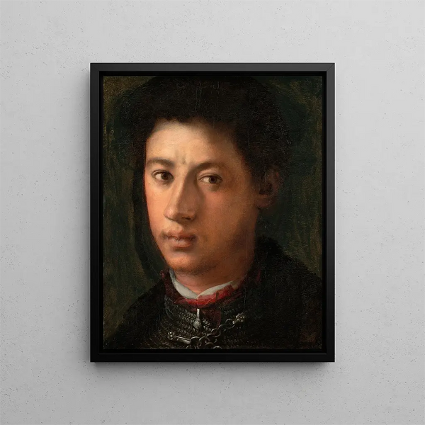 Alexandre de Médicis - Pontormo Jacopo Carucci — framed artwork on a wall