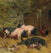 Berkshire pigs and hens in a courtyard with hay - John Frederick Herring Snr — artwork view