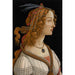 Reproduction of the painting Portrait of Simonetta Vespucci as a nymph - Sandro Botticelli