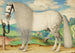 a Gray Pommel Horse in a Landscape - Prague School — artwork view