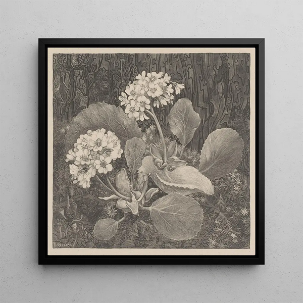 Primevère dans la mousse - Theo van Hoytema — framed artwork on a wall