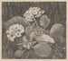 Primevère dans la mousse - Theo van Hoytema — artwork view