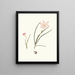 Zephyranthes carinatus 2 Zephyranthes rosea - Priscilla Susan Bury — framed artwork on a wall