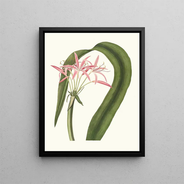 Hair Bloodstained - Priscilla Susan Bury — framed artwork on a wall