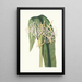 Crinum Declinatum - Priscilla Susan Bury — framed artwork on a wall