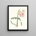 Ornamental Hair - Priscilla Susan Bury — framed artwork on a wall