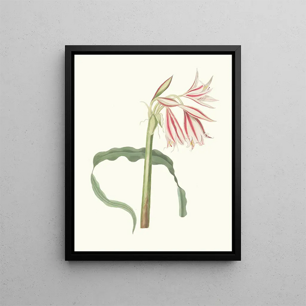 Ornamental Hair - Priscilla Susan Bury — framed artwork on a wall