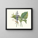 Daylily Blue Japanese Daylily - Priscilla Susan Bury — framed artwork on a wall