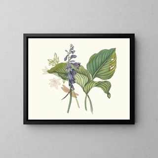 Daylily Blue Japanese Daylily - Priscilla Susan Bury — framed artwork on a wall
