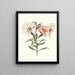 Lys japonais - Priscilla Susan Bury — framed artwork on a wall
