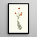 Lilium Pyrenaicum - Priscilla Susan Bury — framed artwork on a wall