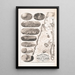 Les chemins de Jésus - RJ Rayner — framed artwork on a wall