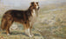 Pendant que le chien se repose, le berger peut dormir - R. S. Moseley — artwork view