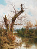 Old tree by the stream - Ramon Tusquets — artwork view