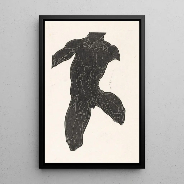 Anatomical study of the muscles of the neck, abdomen, and thigh of a man in silhouette - Reijer Stolk — framed artwork on a wall