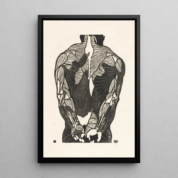 Anatomical study of the back muscles of a man - Reijer Stolk — framed artwork on a wall