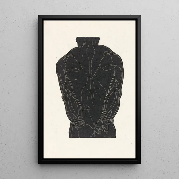 Anatomical study of the back muscles of a man in silhouette - Reijer Stolk — framed artwork on a wall