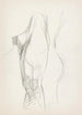 Cuisse et dos en profil - Reijer Stolk — artwork view