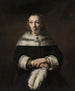 Portrait of a lady with an ostrich feather fan - Rembrandt van Rijn — artwork view
