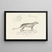 Centurie zoologique Pl02 - René Primevère Lesson — framed artwork on a wall