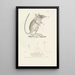 Centurie zoologique Pl12 - René Primevère Lesson — framed artwork on a wall