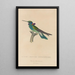 Histoire naturelle des oiseaux-mouches Pl01 - René Primevère Lesson — framed artwork on a wall