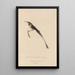 Histoire naturelle des oiseaux-mouches Pl06 - René Primevère Lesson — framed artwork on a wall