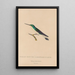 Histoire naturelle des oiseaux-mouches Pl10 - René Primevère Lesson — framed artwork on a wall