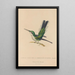 Histoire naturelle des oiseaux-mouches Pl11 - René Primevère Lesson — framed artwork on a wall