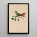 Histoire naturelle des oiseaux-mouches Pl13 - René Primevère Lesson — framed artwork on a wall