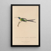 Natural history of hummingbirds Pl15 - René Primevère Lesson — framed artwork on a wall