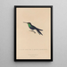 Histoire naturelle des oiseaux-mouches Pl18 - René Primevère Lesson — framed artwork on a wall