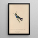 Histoire naturelle des oiseaux-mouches Pl23 - René Primevère Lesson — framed artwork on a wall