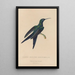 Histoire naturelle des oiseaux-mouches Pl25 - René Primevère Lesson — framed artwork on a wall